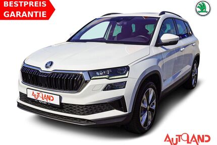 Skoda Karoq Gebrauchtwagen