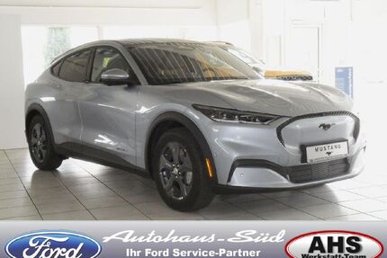 Ford Mustang Mach-E Gebrauchtwagen
