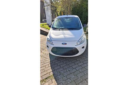 Ford Ka/Ka+ Gebrauchtwagen