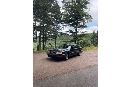Audi V8 Gebrauchtwagen