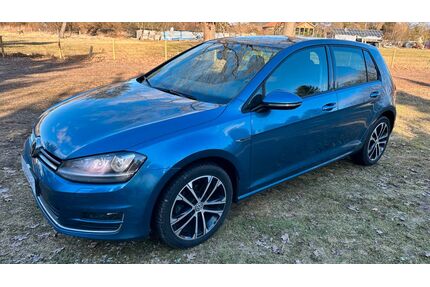 VW Golf Gebrauchtwagen