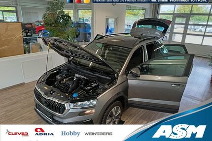 Skoda Karoq Gebrauchtwagen