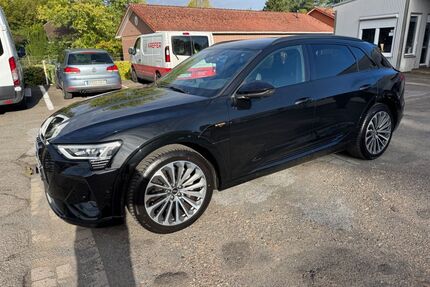 Audi e-tron Gebrauchtwagen