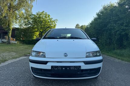 Fiat Punto Gebrauchtwagen