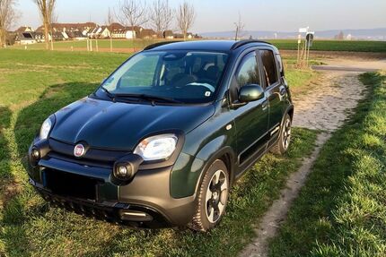 Fiat Panda Gebrauchtwagen