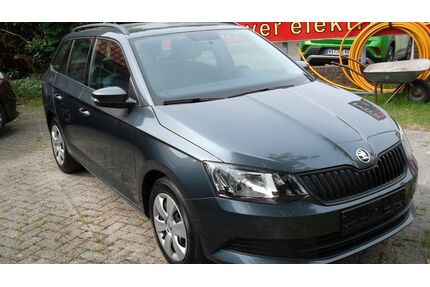 Skoda Fabia Gebrauchtwagen