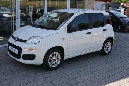 Fiat Panda Gebrauchtwagen