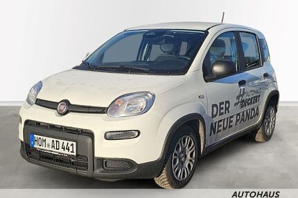 Fiat Panda Gebrauchtwagen