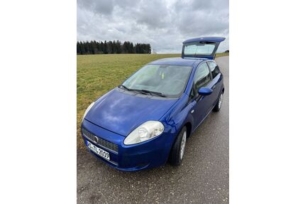 Fiat Punto Gebrauchtwagen