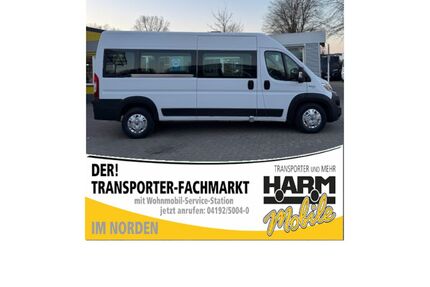Fiat Ducato Gebrauchtwagen