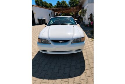 Ford Mustang Gebrauchtwagen