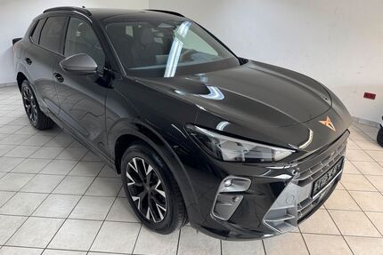 Cupra Terramar Gebrauchtwagen