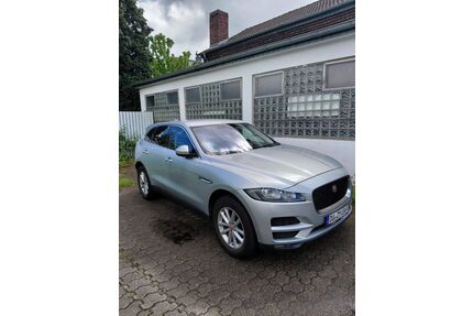 Jaguar F-Pace Gebrauchtwagen