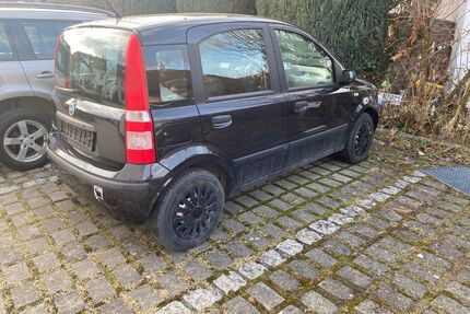 Fiat Panda Gebrauchtwagen