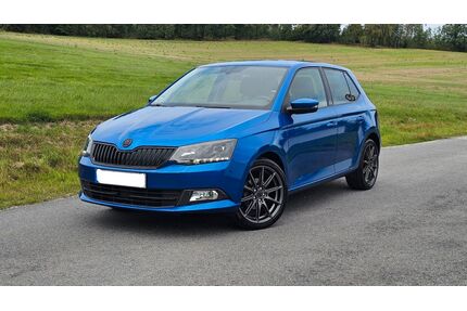 Skoda Fabia Gebrauchtwagen