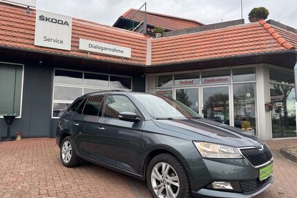Skoda Fabia Gebrauchtwagen