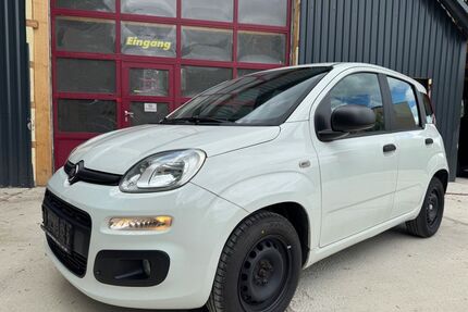 Fiat Panda Gebrauchtwagen
