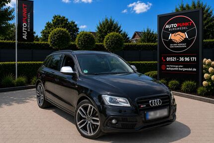 Audi SQ5 Gebrauchtwagen
