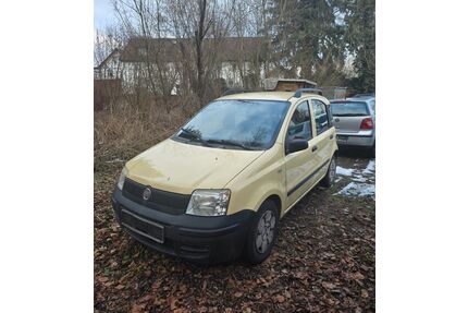 Fiat Panda Gebrauchtwagen