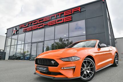 Ford Mustang Gebrauchtwagen