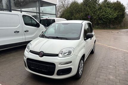 Fiat Panda Gebrauchtwagen