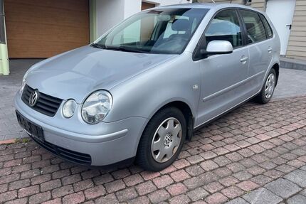VW Polo Gebrauchtwagen