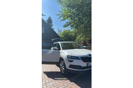 Skoda Karoq Gebrauchtwagen