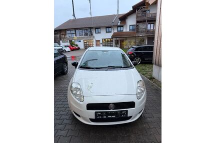 Fiat Punto Gebrauchtwagen