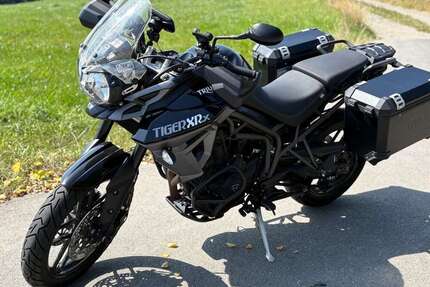 Triumph Tiger 800 Gebrauchtwagen