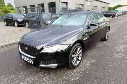 Jaguar XF Gebrauchtwagen