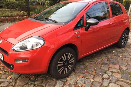 Fiat Punto Gebrauchtwagen