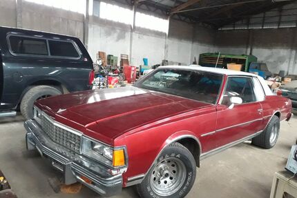 Chevrolet Caprice Gebrauchtwagen