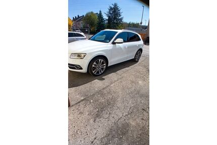 Audi SQ5 Gebrauchtwagen