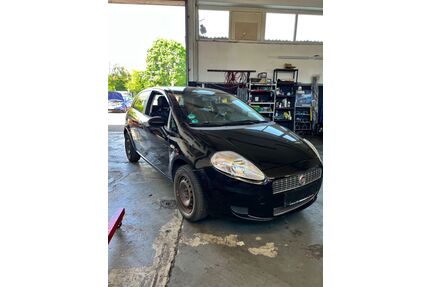 Fiat Punto Gebrauchtwagen