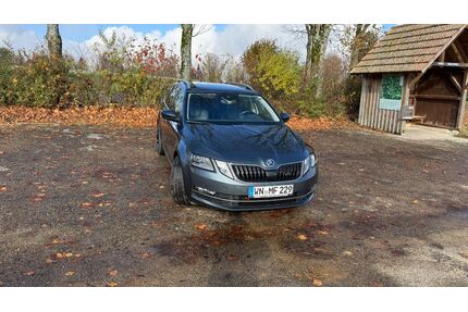 Skoda Octavia Gebrauchtwagen