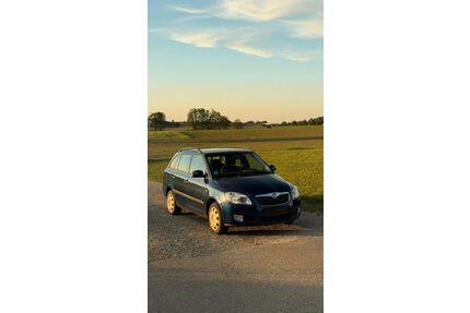 Skoda Fabia Gebrauchtwagen