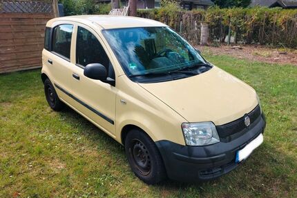 Fiat Panda Gebrauchtwagen