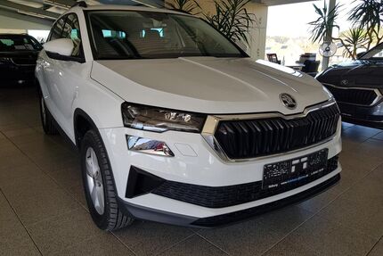 Skoda Karoq Gebrauchtwagen