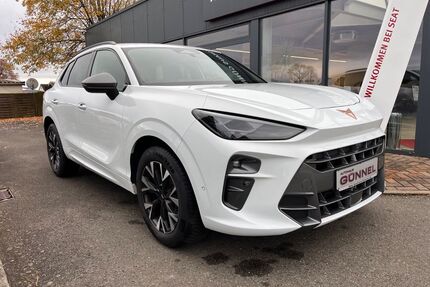 Cupra Terramar Gebrauchtwagen