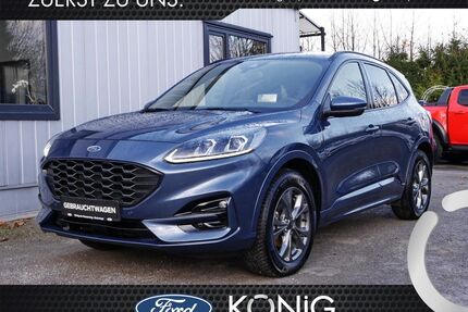 Ford Kuga Gebrauchtwagen