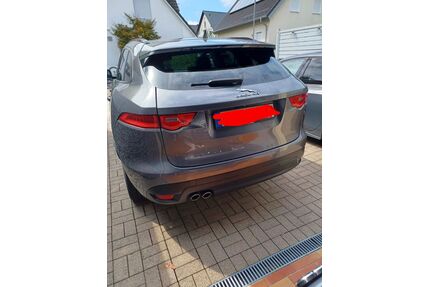 Jaguar F-Pace Gebrauchtwagen