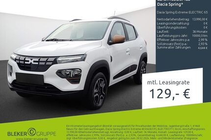 Dacia Spring Gebrauchtwagen