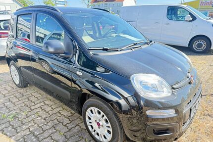 Fiat Panda Gebrauchtwagen