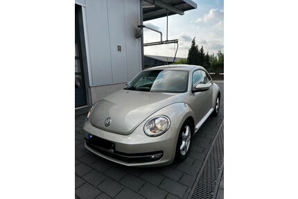 VW Beetle Gebrauchtwagen