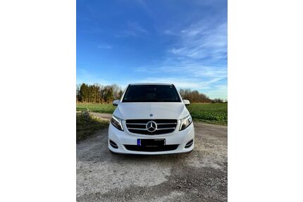 Mercedes-Benz V 250 Gebrauchtwagen