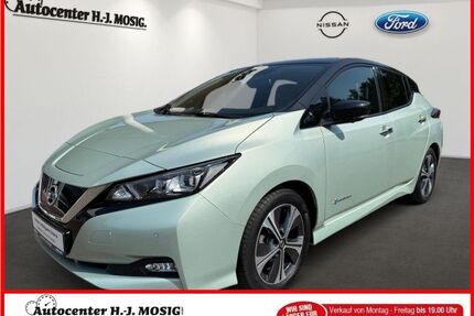 Nissan Leaf Gebrauchtwagen