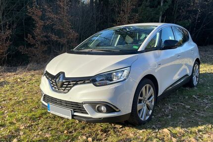 Renault Scenic Gebrauchtwagen