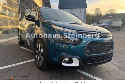 Citroen C4 Cactus Gebrauchtwagen