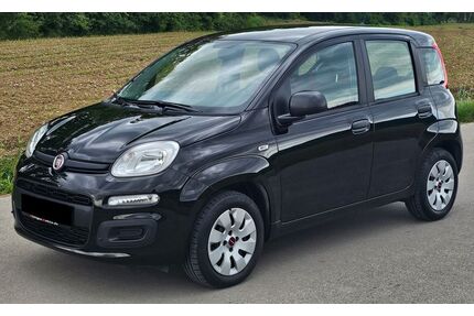 Fiat Panda Gebrauchtwagen