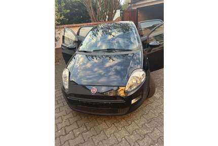 Fiat Punto Gebrauchtwagen